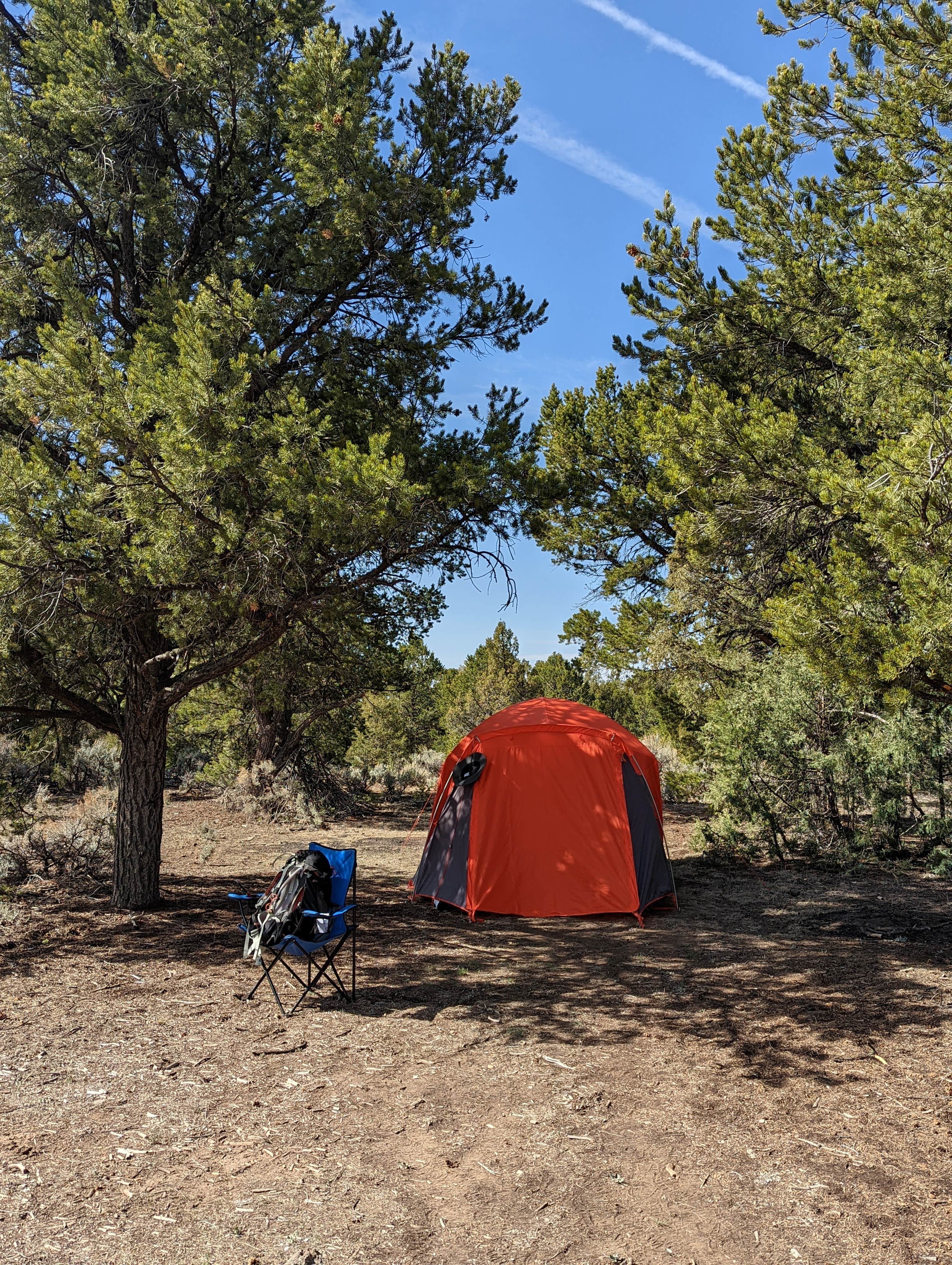 Camper submitted image from Carson NF - Forest Service Road 578 - Dispersed Camping - 4