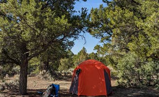 Ian O.'s photo at Carson NF - Forest Service Road 578 - Dispersed Camping near Canjilon, NM
