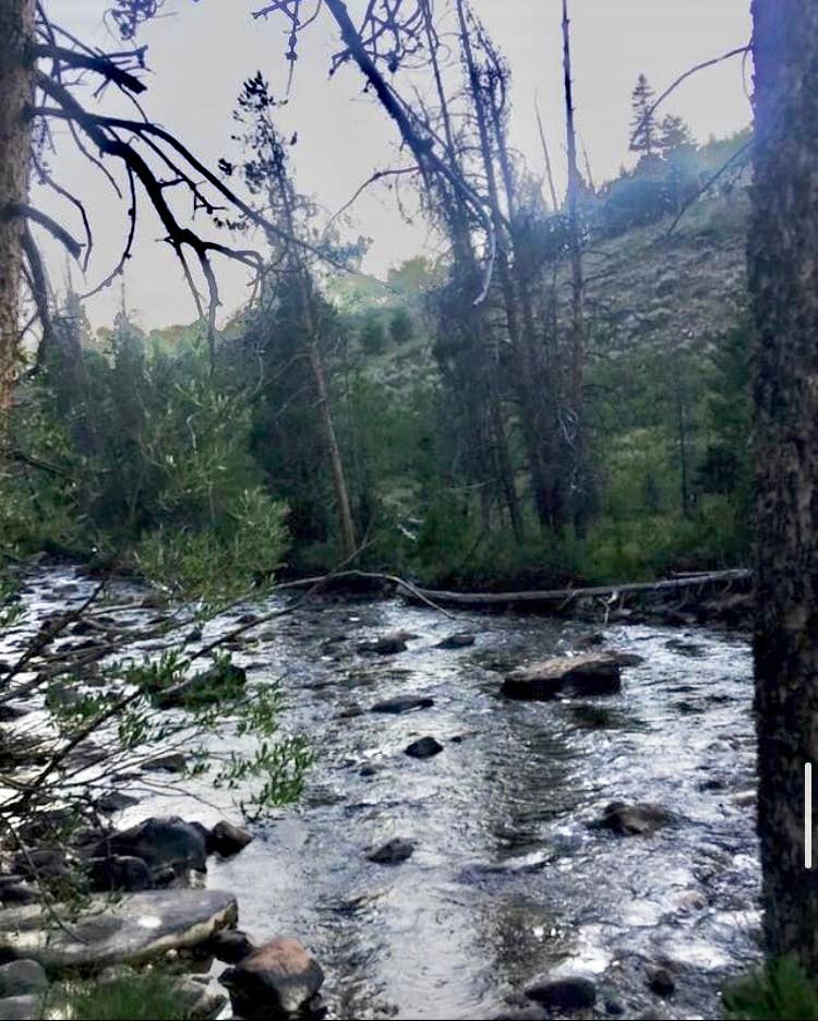 Camping near Whitney Reservoir: Bear River Campground (Uinta Wasatch Cache National Forest, Ut) — Uinta Wasatch Cache National Forest, Evanston, Wyoming