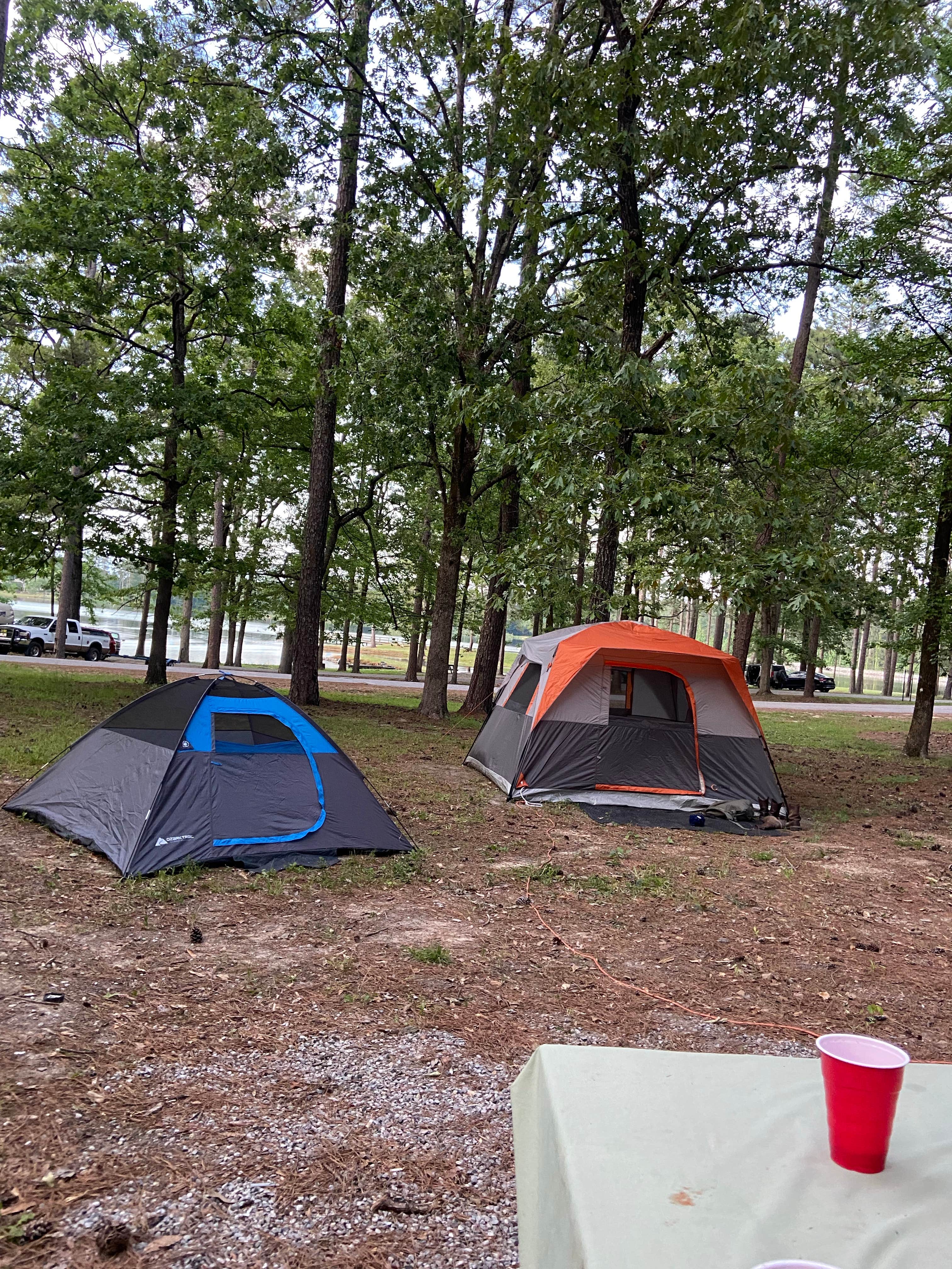 Camping near Atwood Water Park: Lake Mary Crawford, Wesson, Mississippi