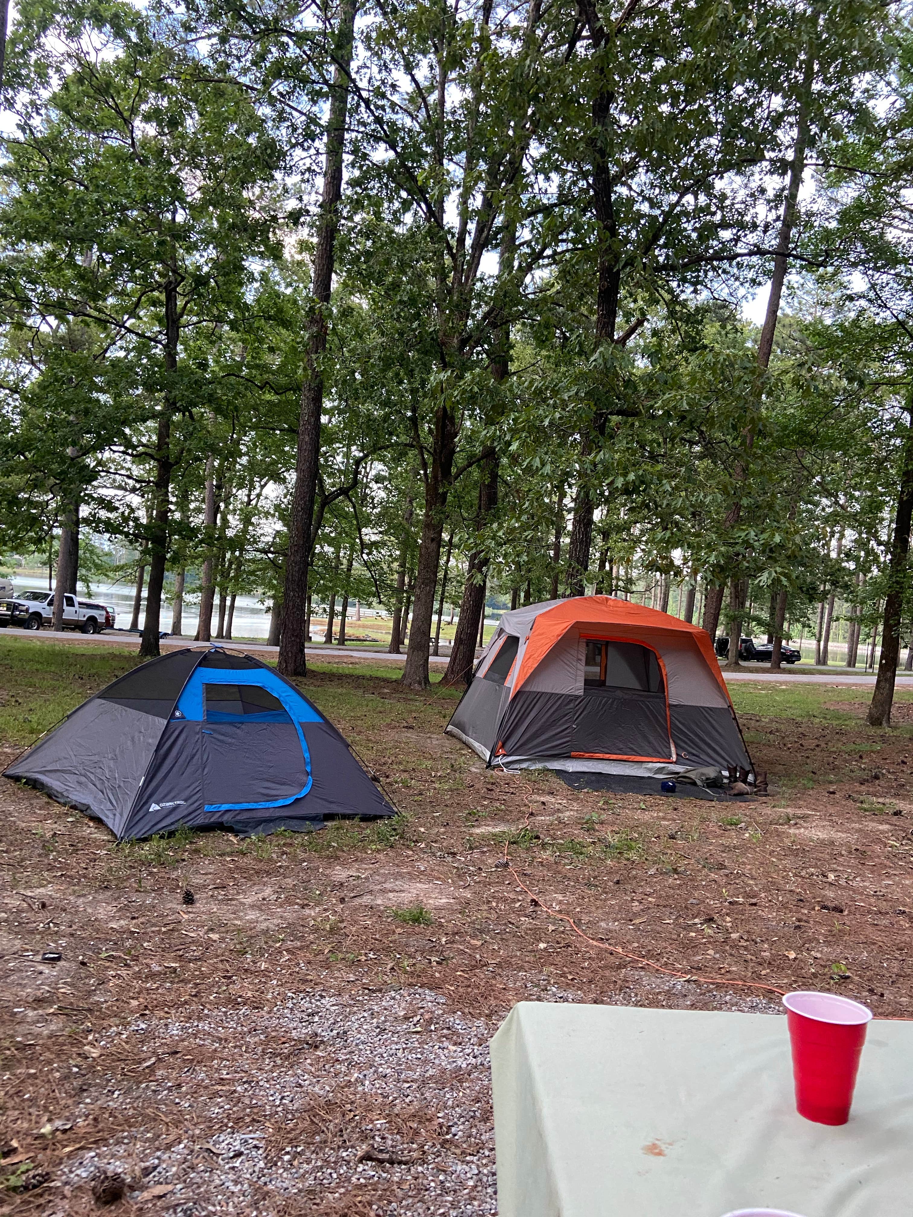 Camper submitted image from Lake Mary Crawford - 1