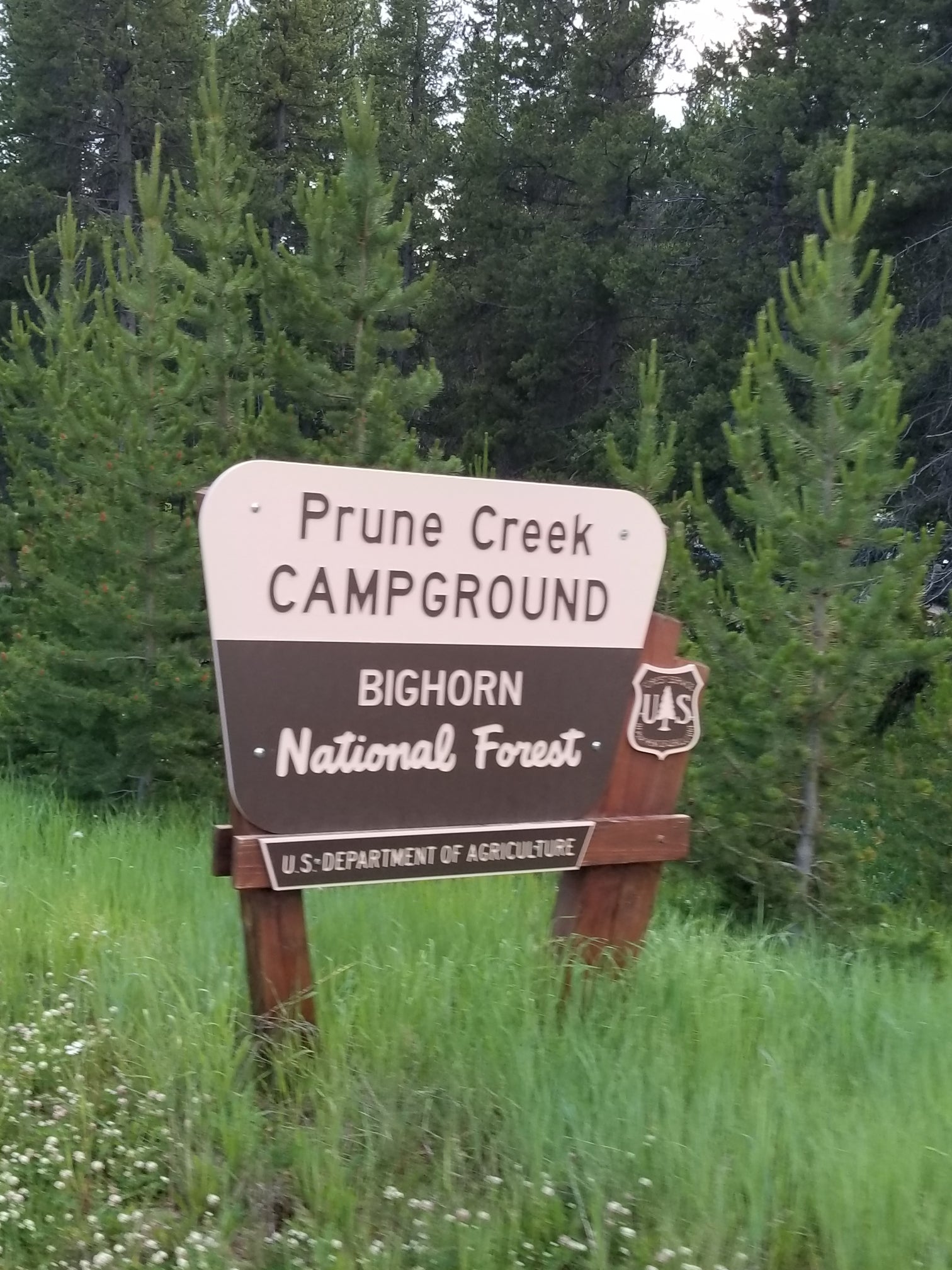 Camper submitted image from Prune Creek - 2