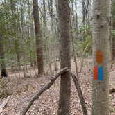 Review photo of Cedarville State Forest by Candace and Sean B., May 1, 2022