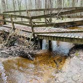 Review photo of Cedarville State Forest by Candace and Sean B., May 1, 2022