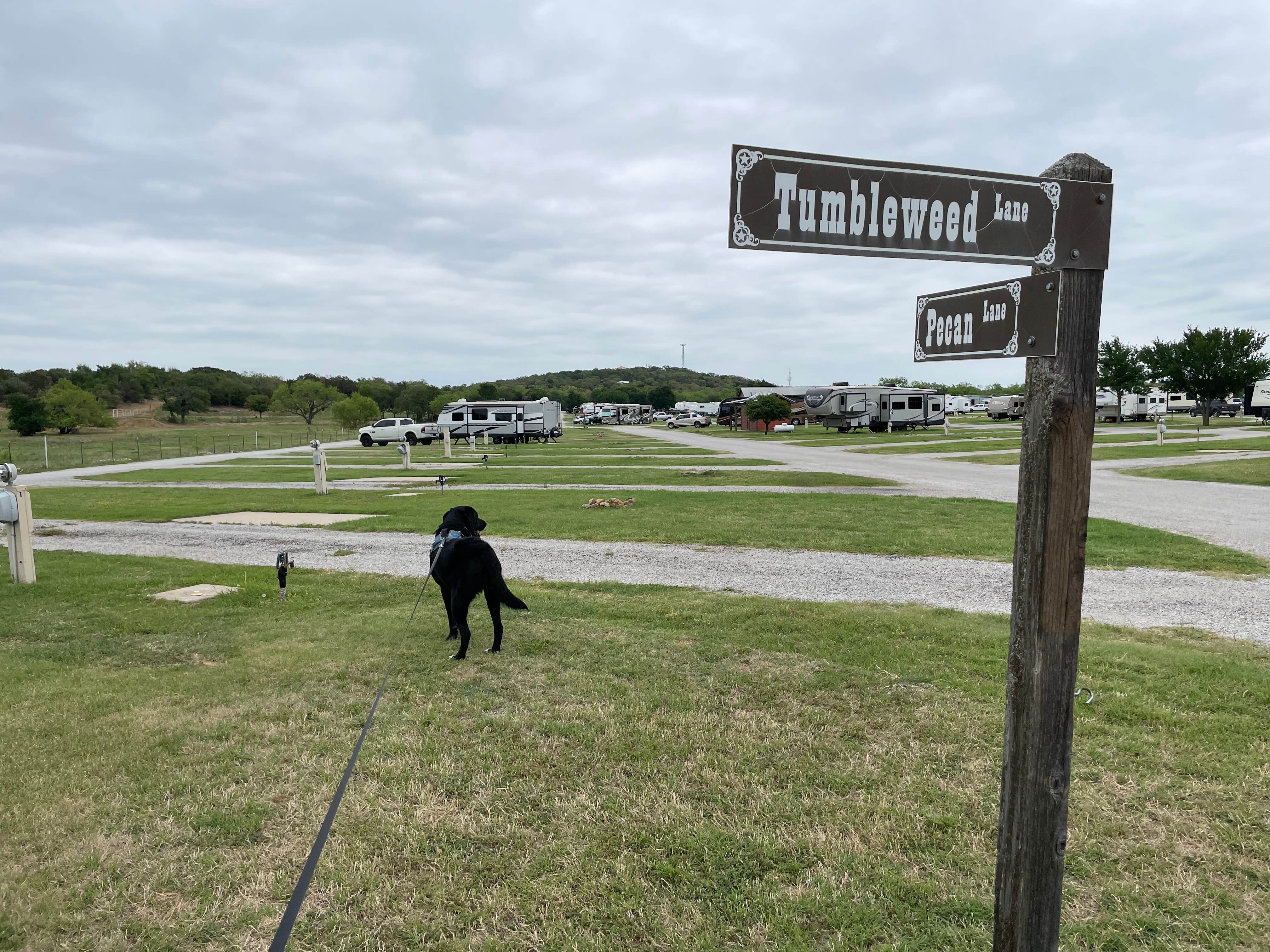 Katie B.'s photo of camping with pets at Coffee Creek RV Resort & Cabins near Dublin, TX