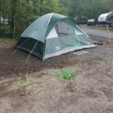 Review photo of Cowans Gap State Park Campground by Danielle W., July 13, 2018