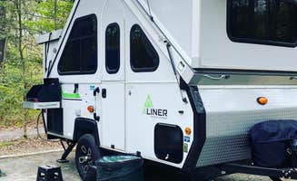 Mary N.'s photo at Cedarville State Forest in Maryland