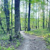 Review photo of Cedarville State Forest by Mary N., May 1, 2022