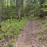 Review photo of Cedarville State Forest by Mary N., May 1, 2022