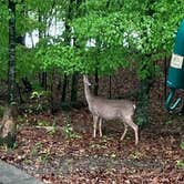 Review photo of Village Creek State Park Campground by MickandKarla W., May 1, 2022