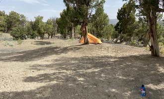 Camping near Horsecamp Resevoir Four: BLM across from Mesa Verde , Mesa Verde National Park, Colorado