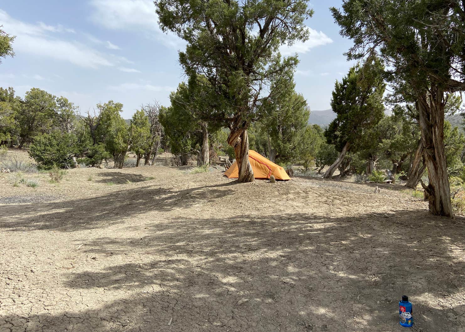 BLM across from Mesa Verde Camping The Dyrt