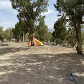 Review photo of BLM across from Mesa Verde by Paul , May 1, 2022