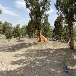 BLM across from Mesa Verde