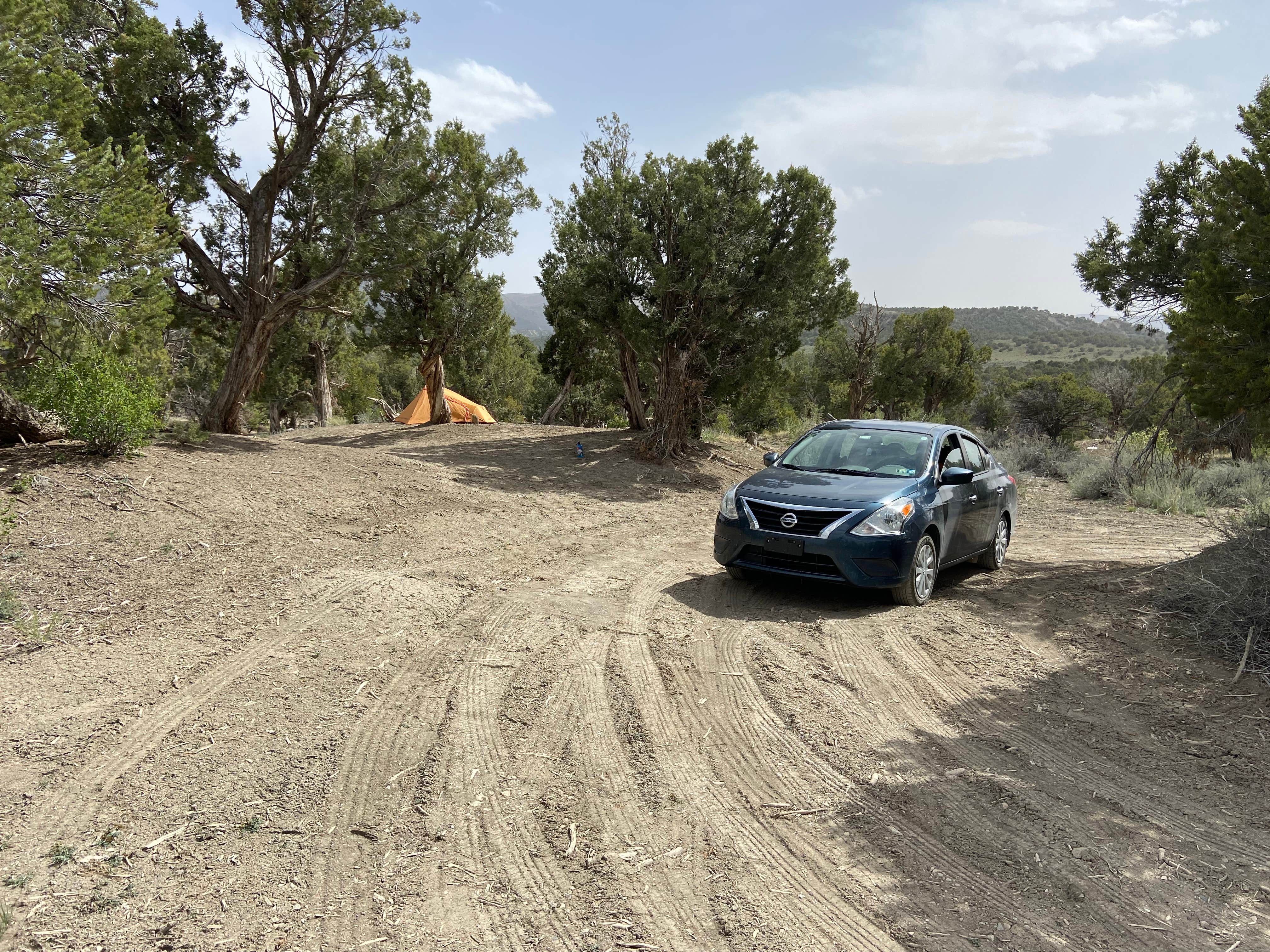 Camper-submitted photo at BLM across from Mesa Verde near Cortez, CO