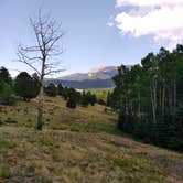 Review photo of Mueller State Park Campground by Jennifer L., July 12, 2018