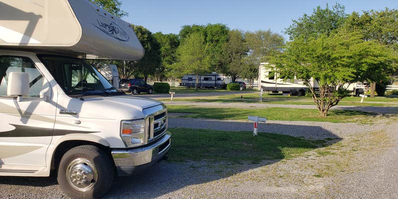 Camper submitted image from Cypress Creek RV Park