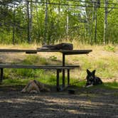Review photo of Temperance River State Park Campground by Jax L., May 2, 2022