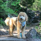 Review photo of Temperance River State Park Campground by Jax L., May 2, 2022