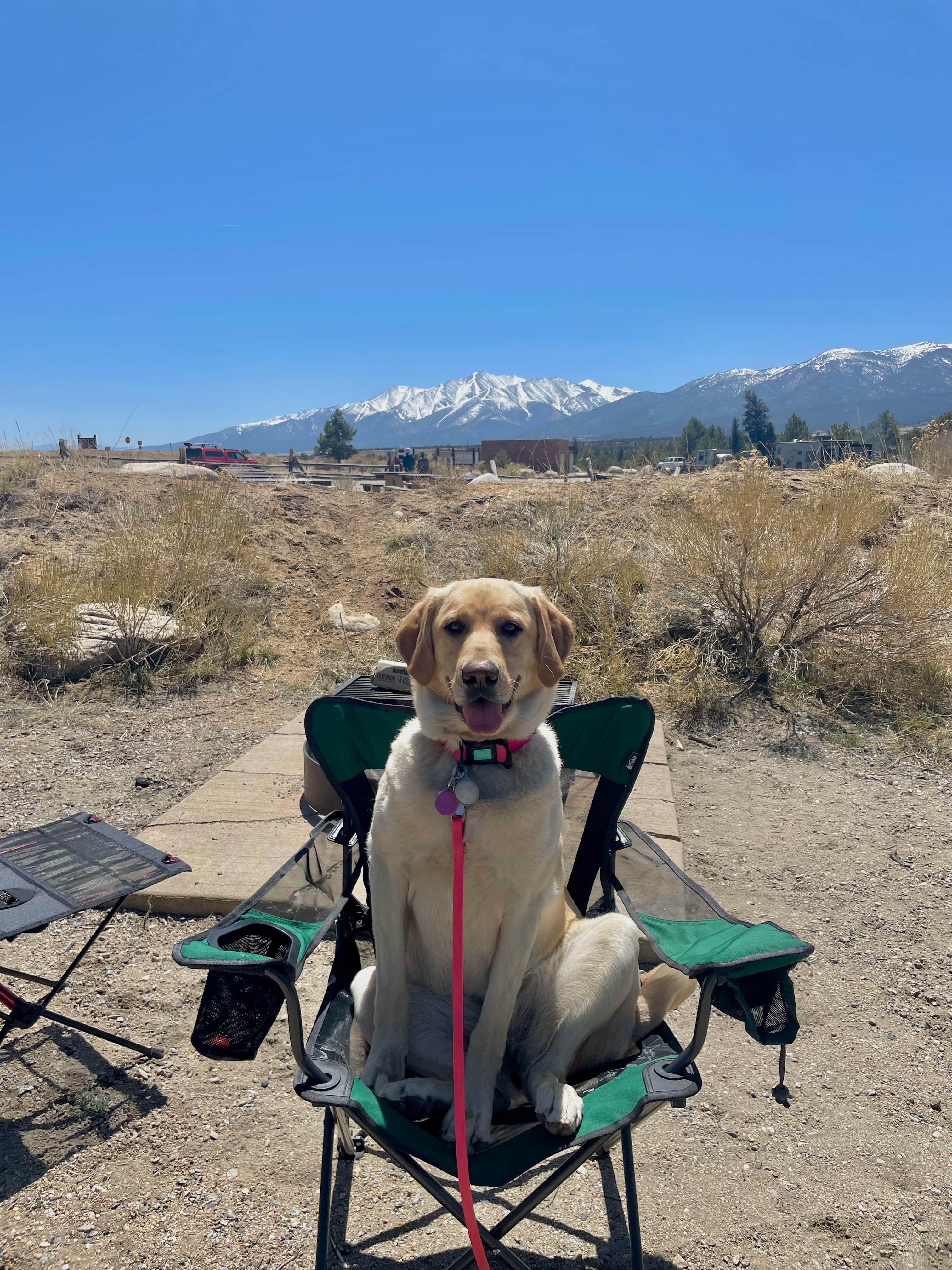 Andrea L.'s photo of camping with pets at Railroad Bridge Campground — Arkansas Headwaters Recreation Area near Buena Vista, CO