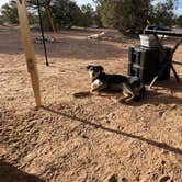 Review photo of Little Grand Canyon Dispersed Camping by Jason , May 2, 2022