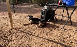 Jason's photo of camping with pets at Little Grand Canyon Dispersed Camping near Wellington, UT