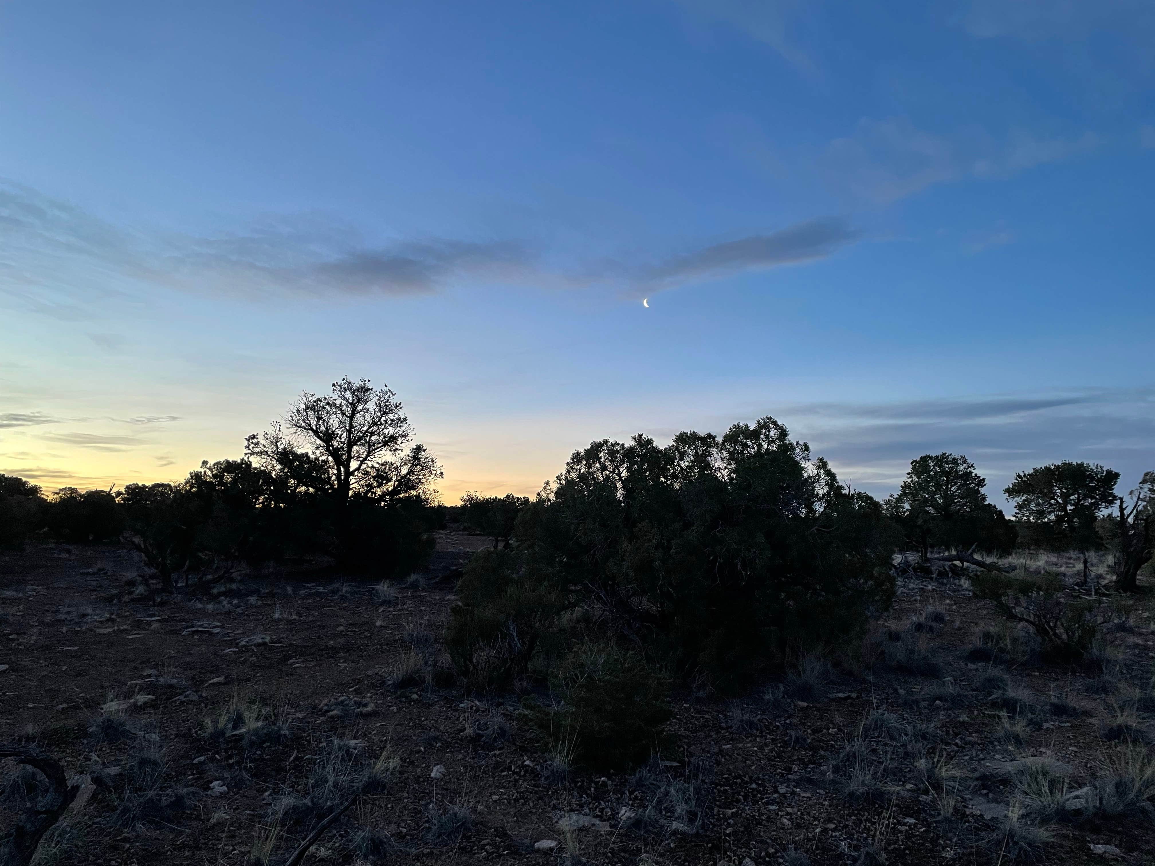 Jason's photo of a dispersed camping area at Little Grand Canyon Dispersed Camping near Kenilworth, UT