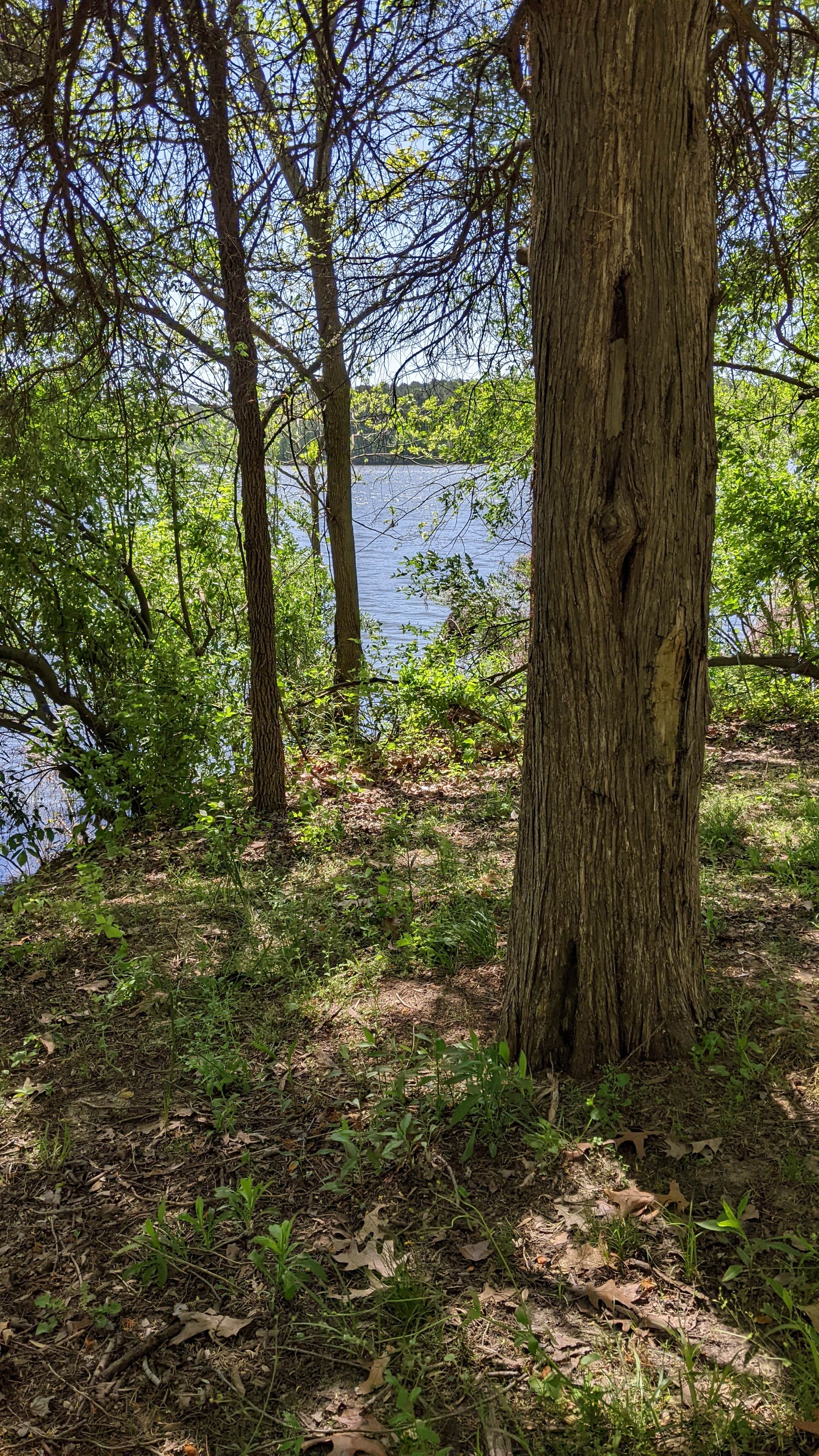Camper-submitted photo at Little Grassy Lake Campground near Jonesboro, IL