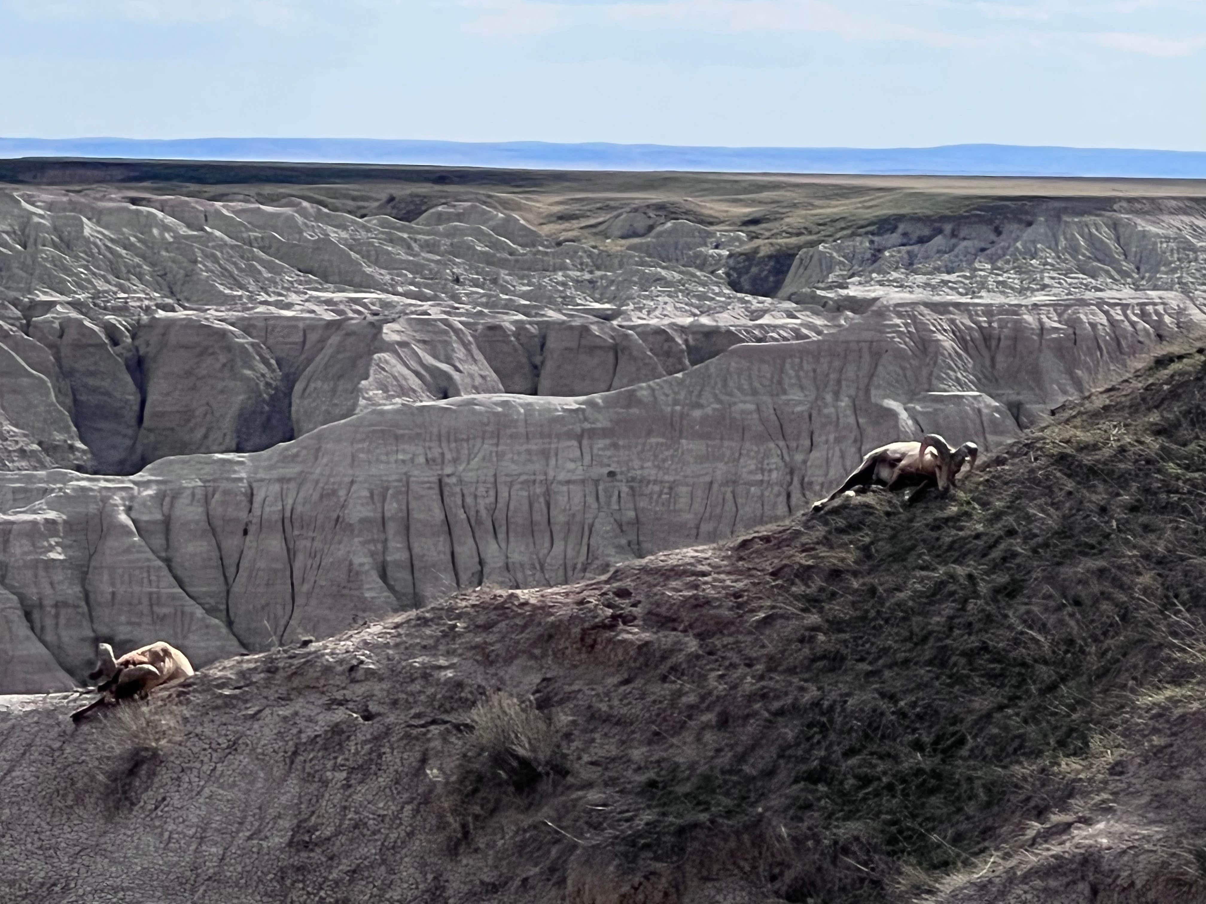 Tod S.'s photo of camping with pets at Cedar Pass Campground — Badlands National Park near Badlands National Park