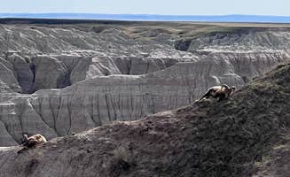Tod S.'s photo of camping with pets at Cedar Pass Campground — Badlands National Park near Badlands National Park