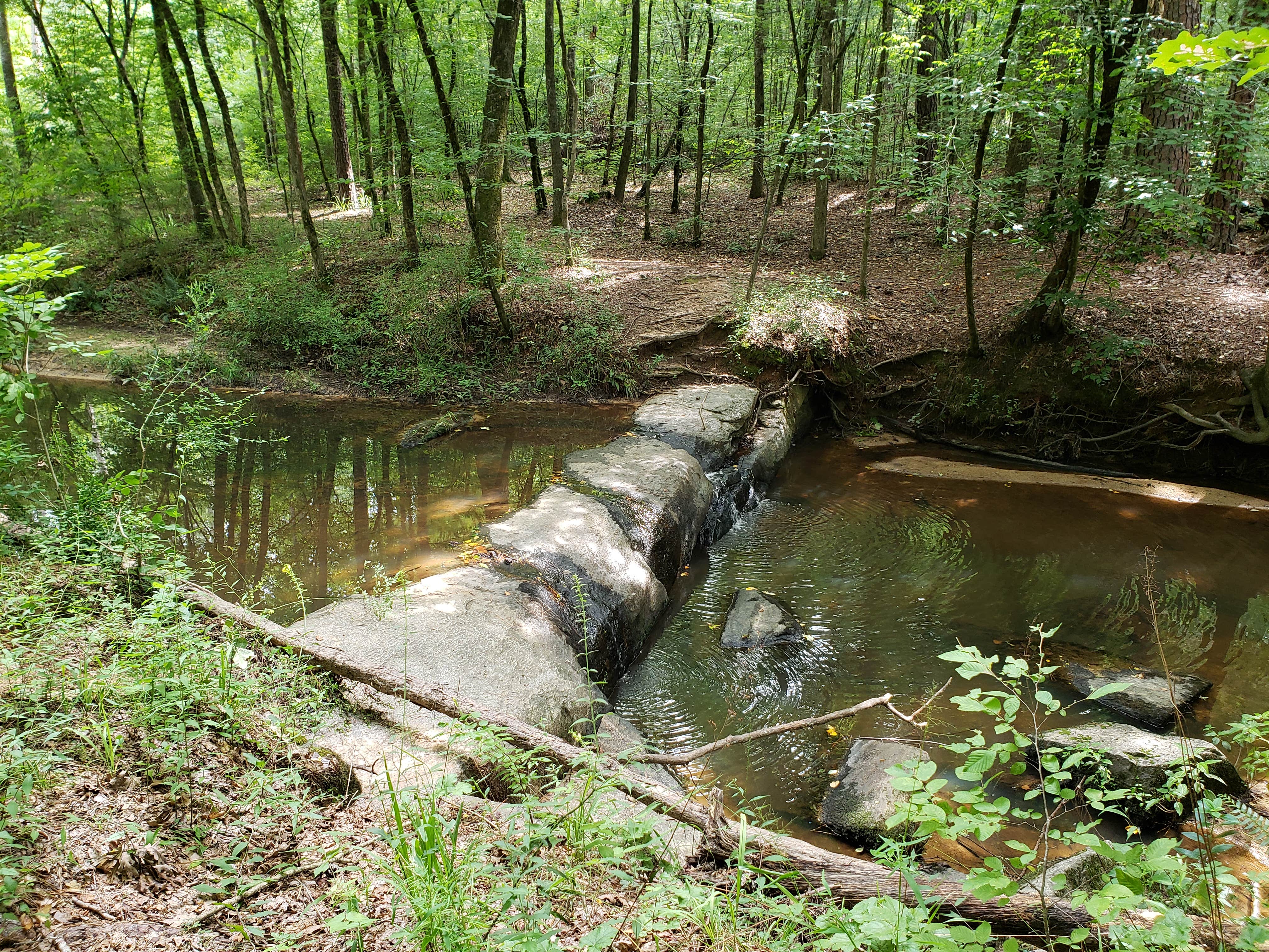 Camper submitted image from Mistletoe State Park Campground - 3