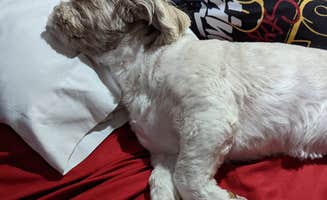 Rodney L.'s photo of camping with pets at Northern Kentucky RV Park in Kentucky