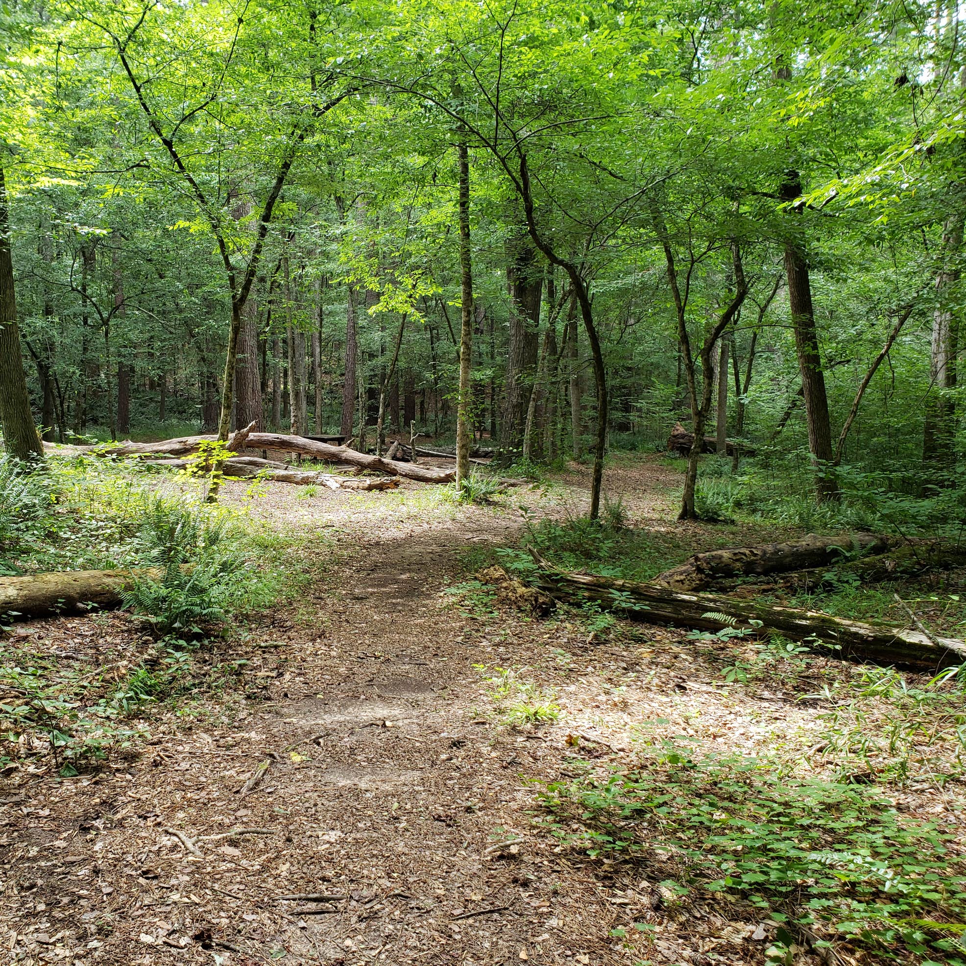 Mistletoe State Park Camping | The Dyrt