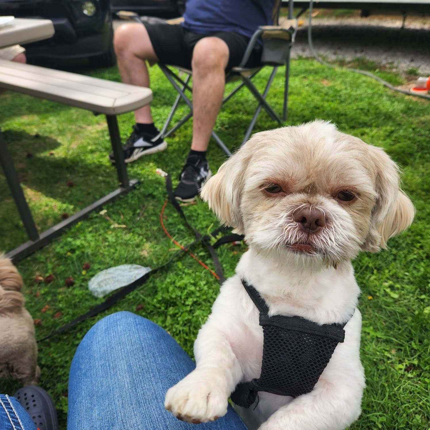Rodney L.'s photo of camping with pets at Northern Kentucky RV Park near Morning View, KY