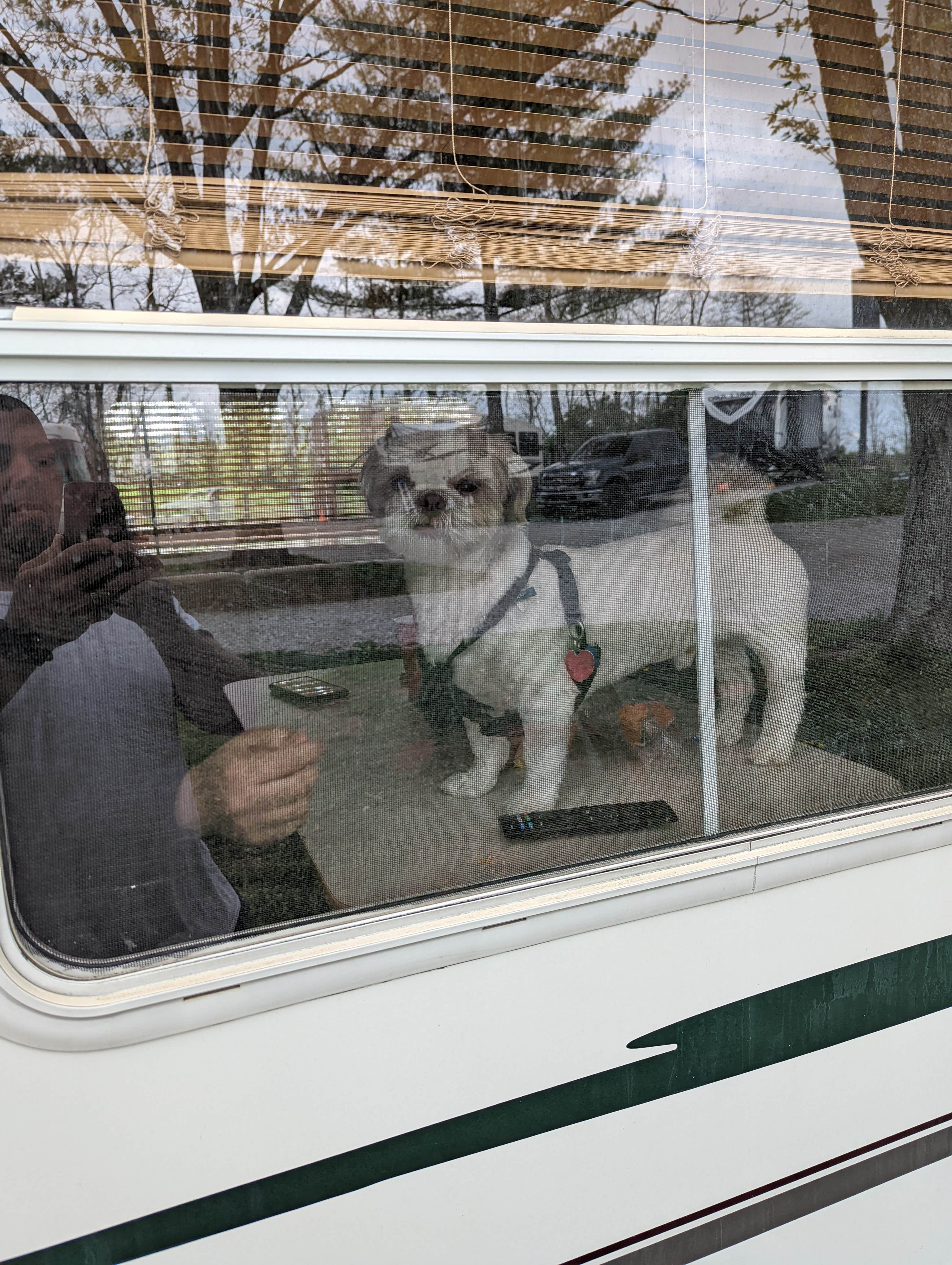 Rodney L.'s photo of camping with pets at Northern Kentucky RV Park near Fort Mitchell, KY