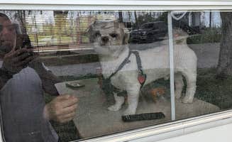 Rodney L.'s photo of camping with pets at Northern Kentucky RV Park near Addyston, OH
