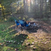 Review photo of Dingmans Campground - Delaware Water Gap NRA by Susan M., May 2, 2022