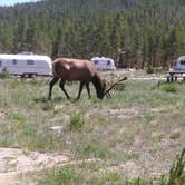 Review photo of Glacier Basin Campground — Rocky Mountain National Park by Jennifer L., July 13, 2018