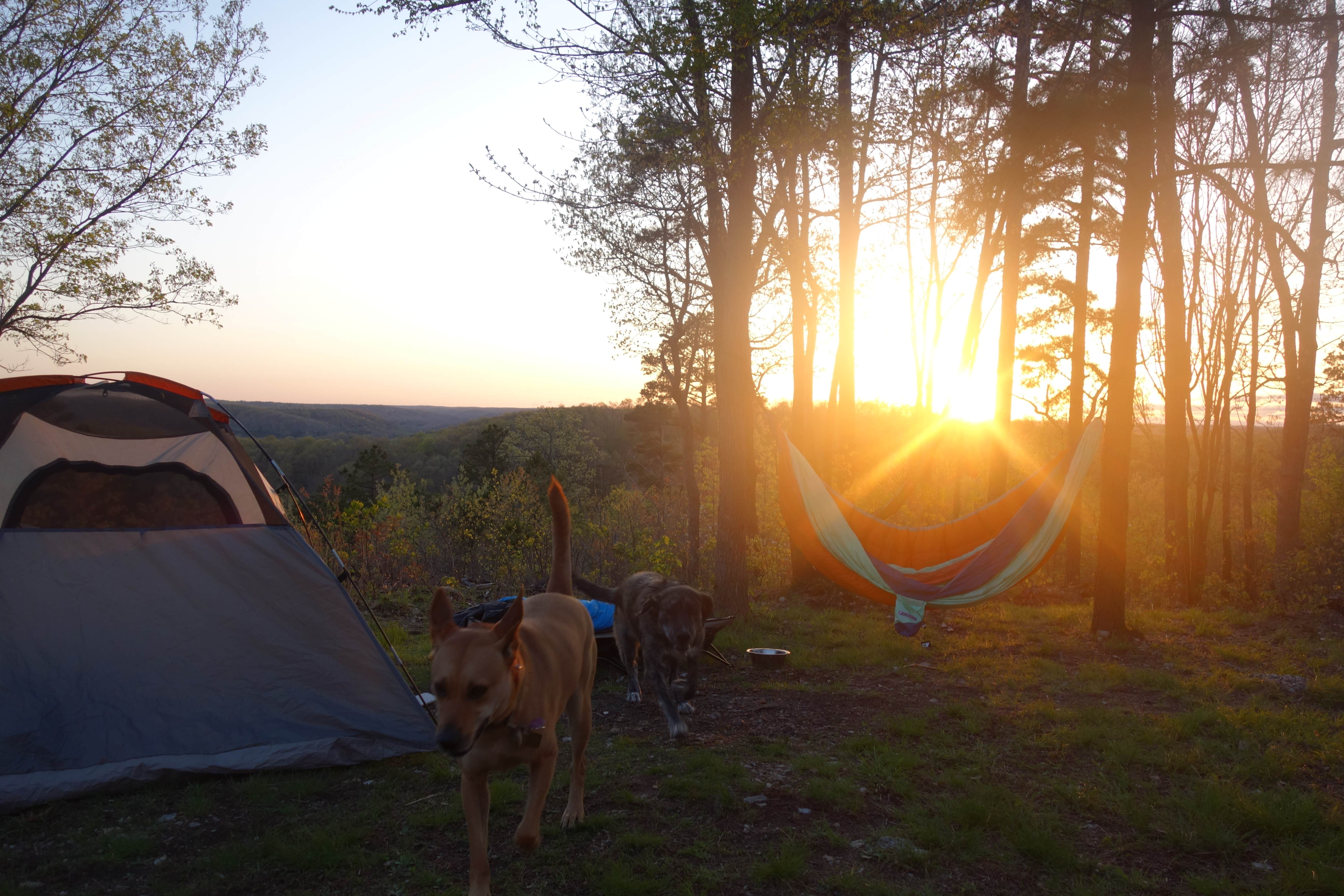 Camper-submitted photo at FS-2363 Dispersed Camping - Murphy Overlook near Hartshorn, MO