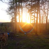 Review photo of FS-2363 Dispersed Camping - Murphy Overlook by Shea B., May 2, 2022