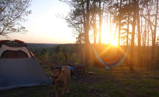 Shea B.'s photo at FS-2363 Dispersed Camping - Murphy Overlook in Missouri