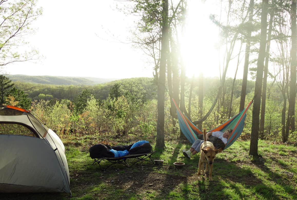 Shea B.'s photo of a dispersed camping area at FS-2363 Dispersed Camping - Murphy Overlook near Irondale, MO