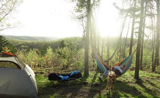 Shea B.'s photo of a dispersed camping area at FS-2363 Dispersed Camping - Murphy Overlook near Jadwin, MO