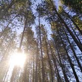 Review photo of Glacier Basin Campground — Rocky Mountain National Park by Jennifer L., July 13, 2018