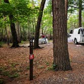 Review photo of Caddo Lake State Park Campground by Fred S., May 2, 2022