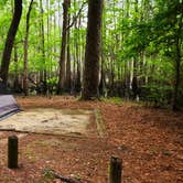 Review photo of Caddo Lake State Park Campground by Fred S., May 2, 2022