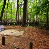 campsite 63
