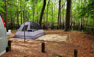 Fred S.'s photo at Caddo Lake State Park Campground near Keithville, LA