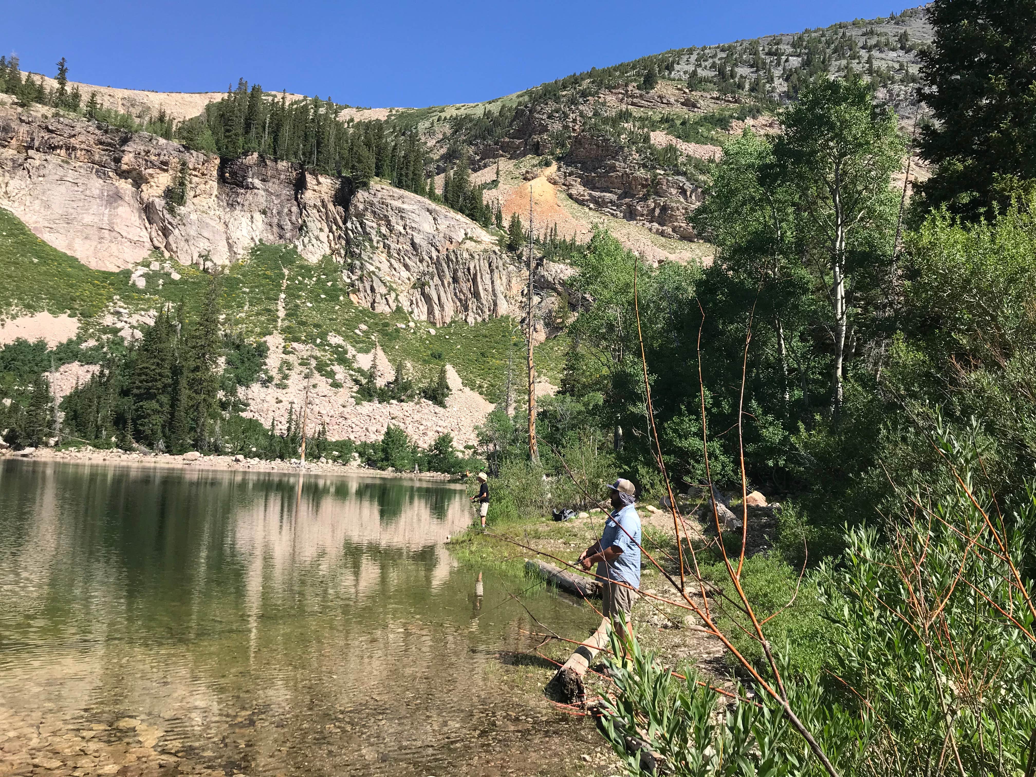 Camper submitted image from Pittsburg Lake Dispersed - 2