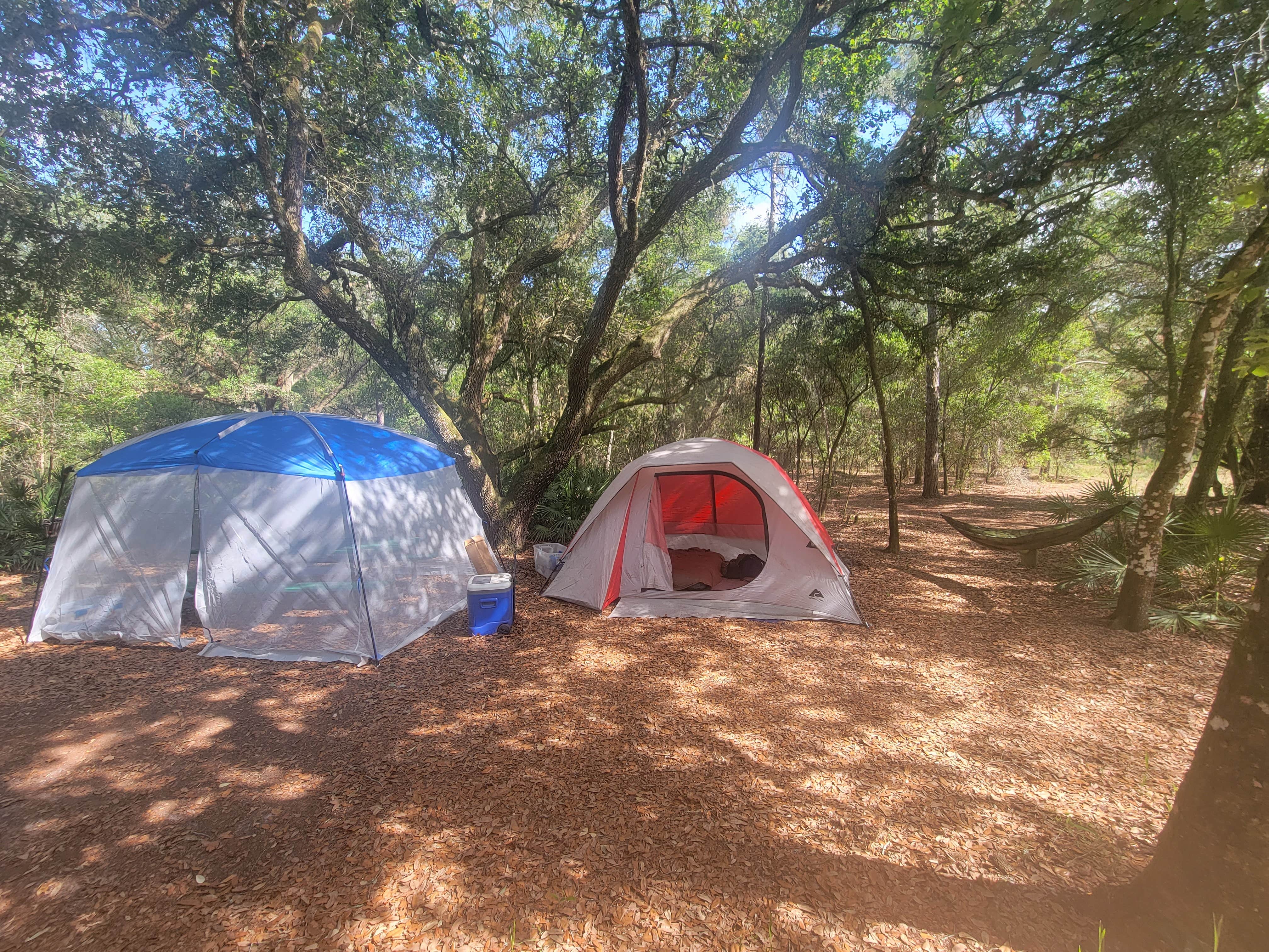 Steve E.'s photo at Withlacoochee River Park in Florida